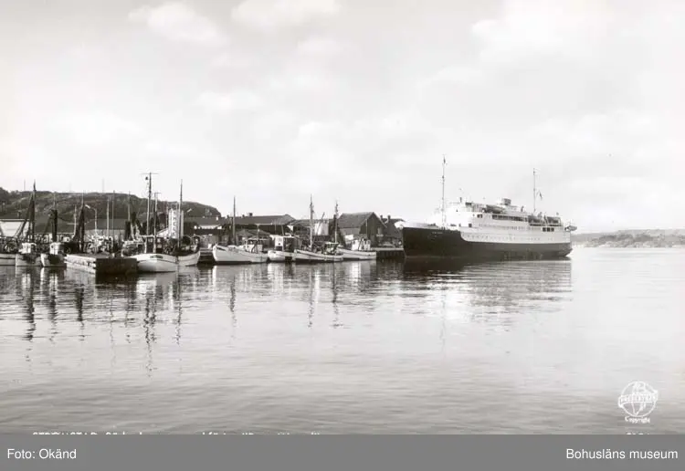 Tryckt text på kortet: 