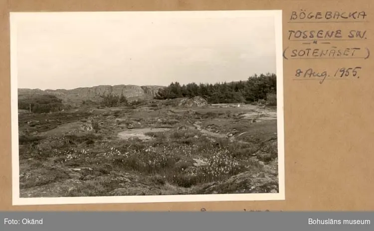 Noterat på kortet: "Bögebacka Tossene Sn."
"Berget Valarna vid gånggriften."
"Aug. 1955."