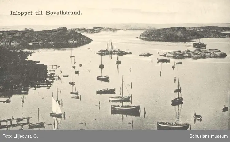 Tryckt text på kortet: "Inloppet till Bovallstrand."

