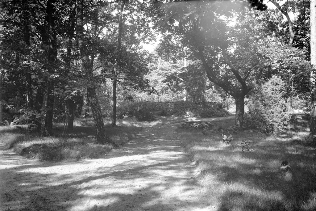 Enligt fotografen: "D. 9 juli 1935 Konsulinnan Aspegren Solbacka Stenungsön".
Uppgifter från givaren: Trädgården
