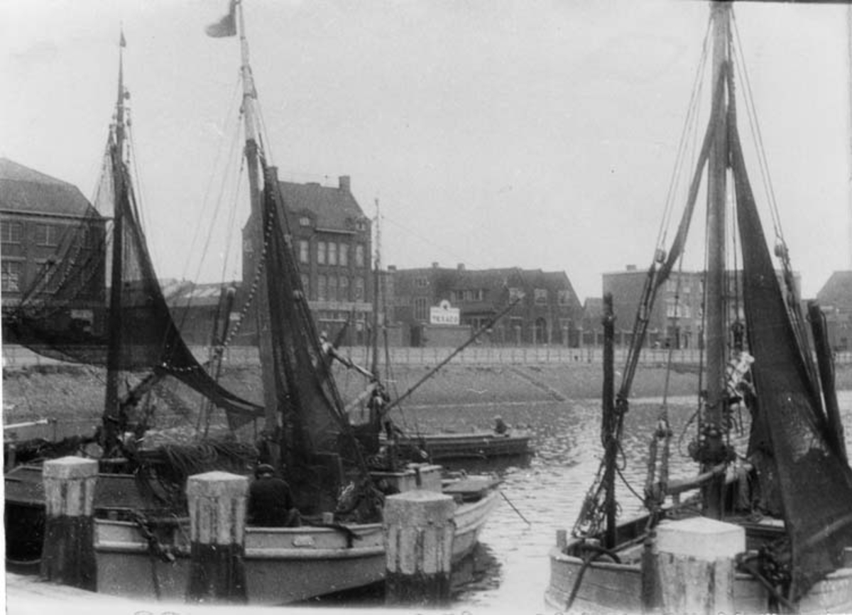 Skrivet på baksidan: Fiskegrejor till torsk Scheveningen Holland.
