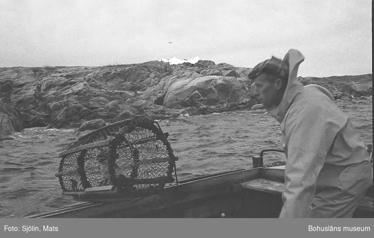 Hummerfiske i bohuslänska vatten år 1978
