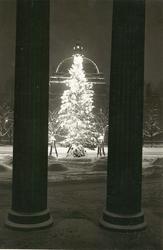 Julegranen på Universitetsplassen.