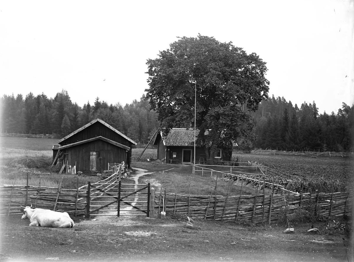 Kolartorpet, utgård till Fagerudd, Svinnegarns socken, Uppland, 1916