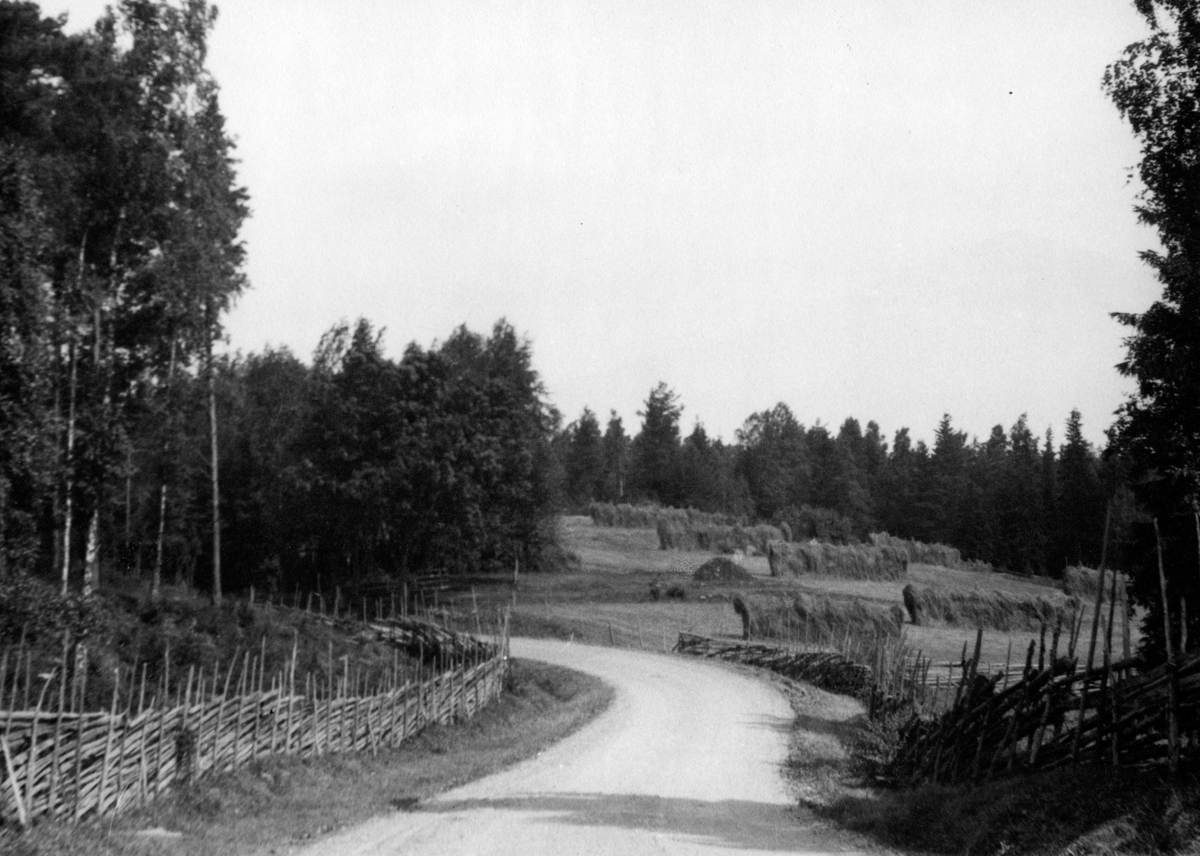 Gamla landsvägen Tenhult-Rogberga kyrka med kurvan upp mot Store backe. Till höger platsen där soldattorpet för Rogberga Södergård låg. Siste soldaten var nr 87 Krantz.