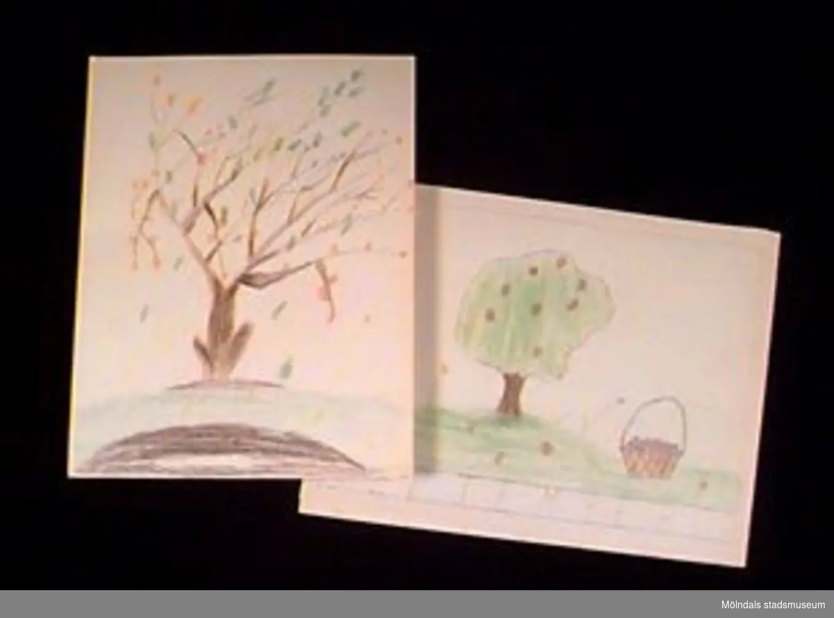 Teckningar med trädmotiv. S.k "månadsbilder" där september och oktober skildras på två av teckningarna.Givaren gick hela sin skoltid i Toltorpsskolan.