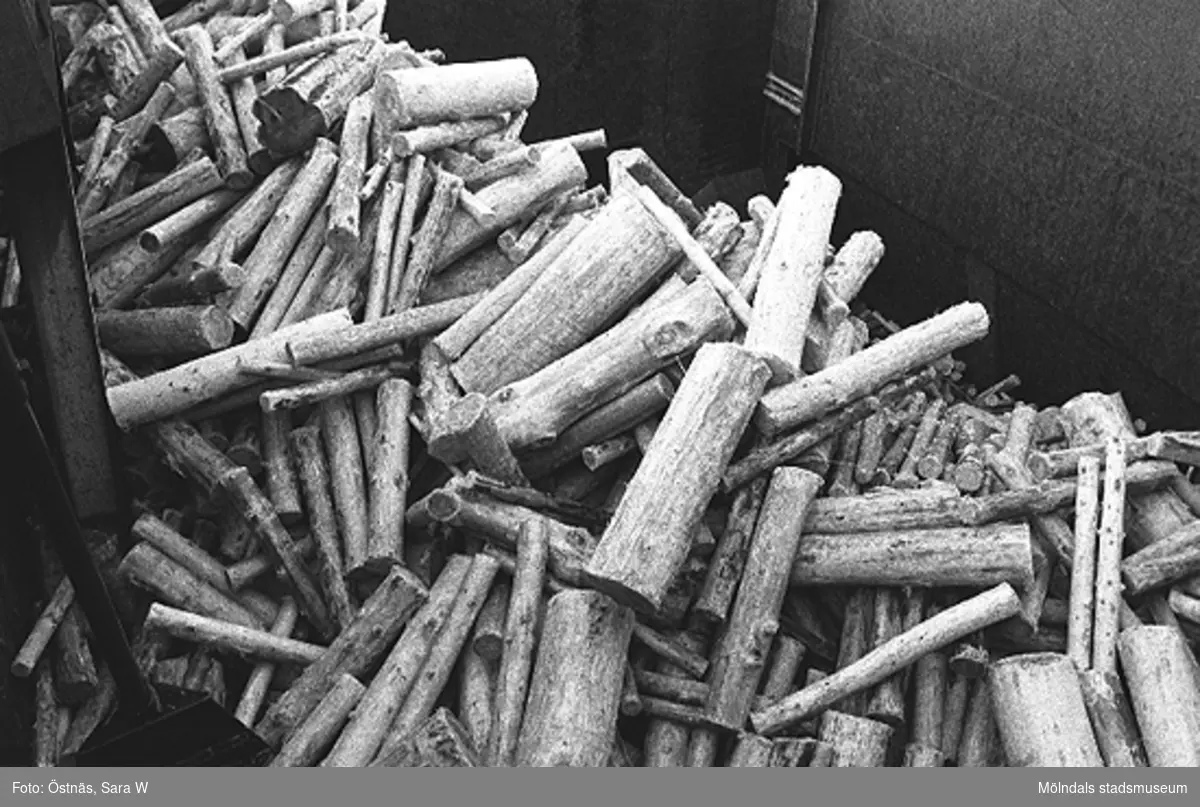 Råvara av trä för papperstillverkning.
Bilden ingår i serie från produktion och interiör på pappersindustrin Papyrus, 1980-tal.