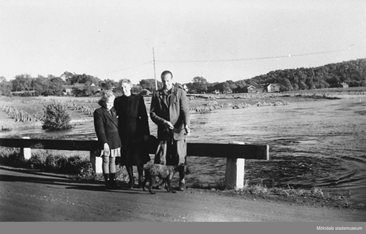 Ett barn, en kvinna och en man står med en hund i koppel vid en grusväg.Sommar i Lindome i början av 1940-talet.