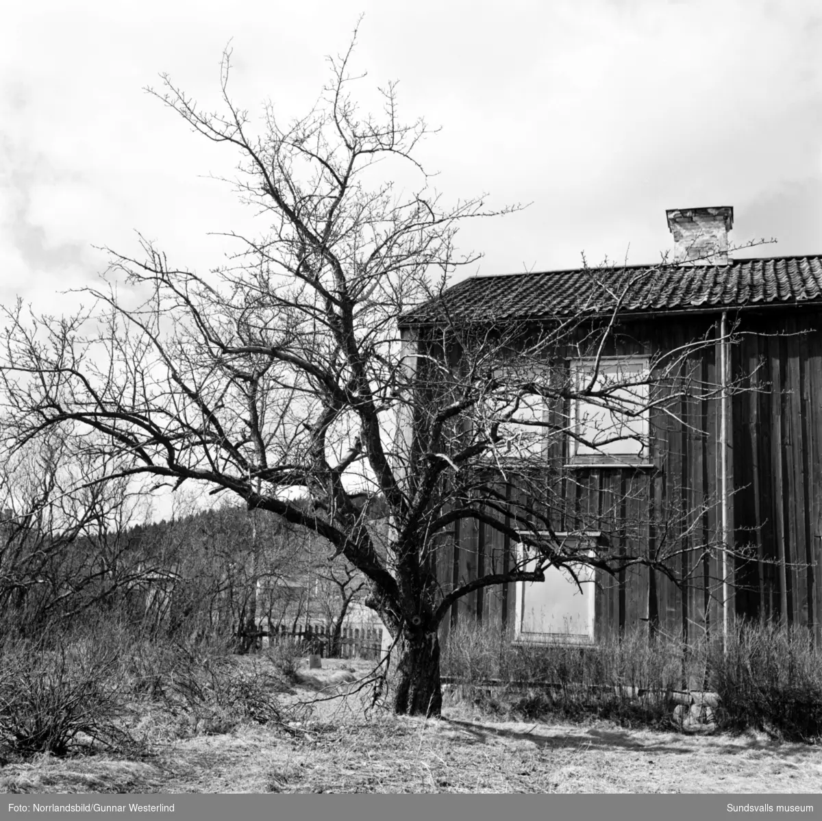Gamla hus som ska rivas i Timrå.