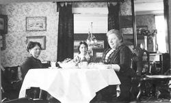 "Thestemning i bestestuen."