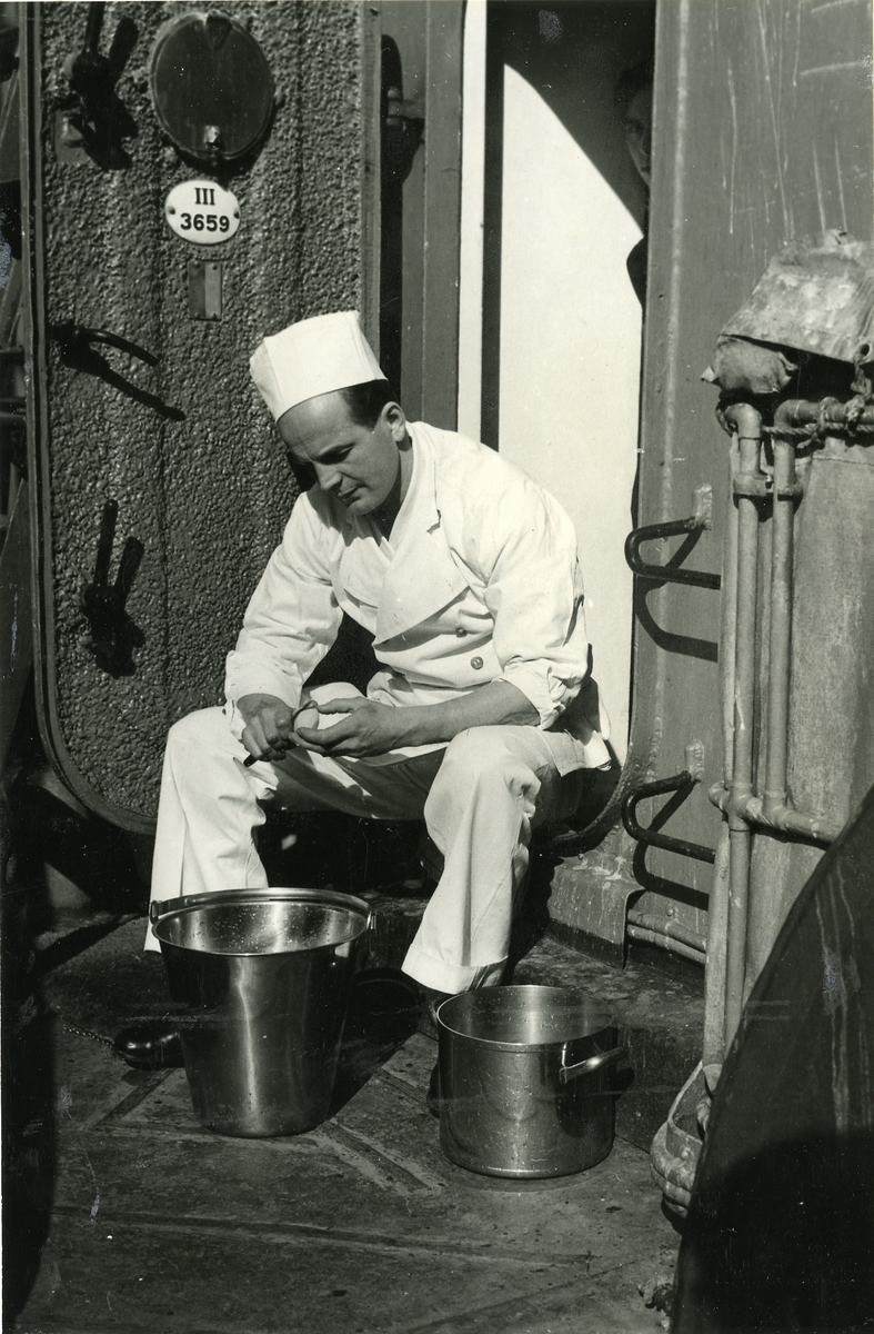 Kocken ombord på kryssaren Gotland skalar potatis juli 1950.