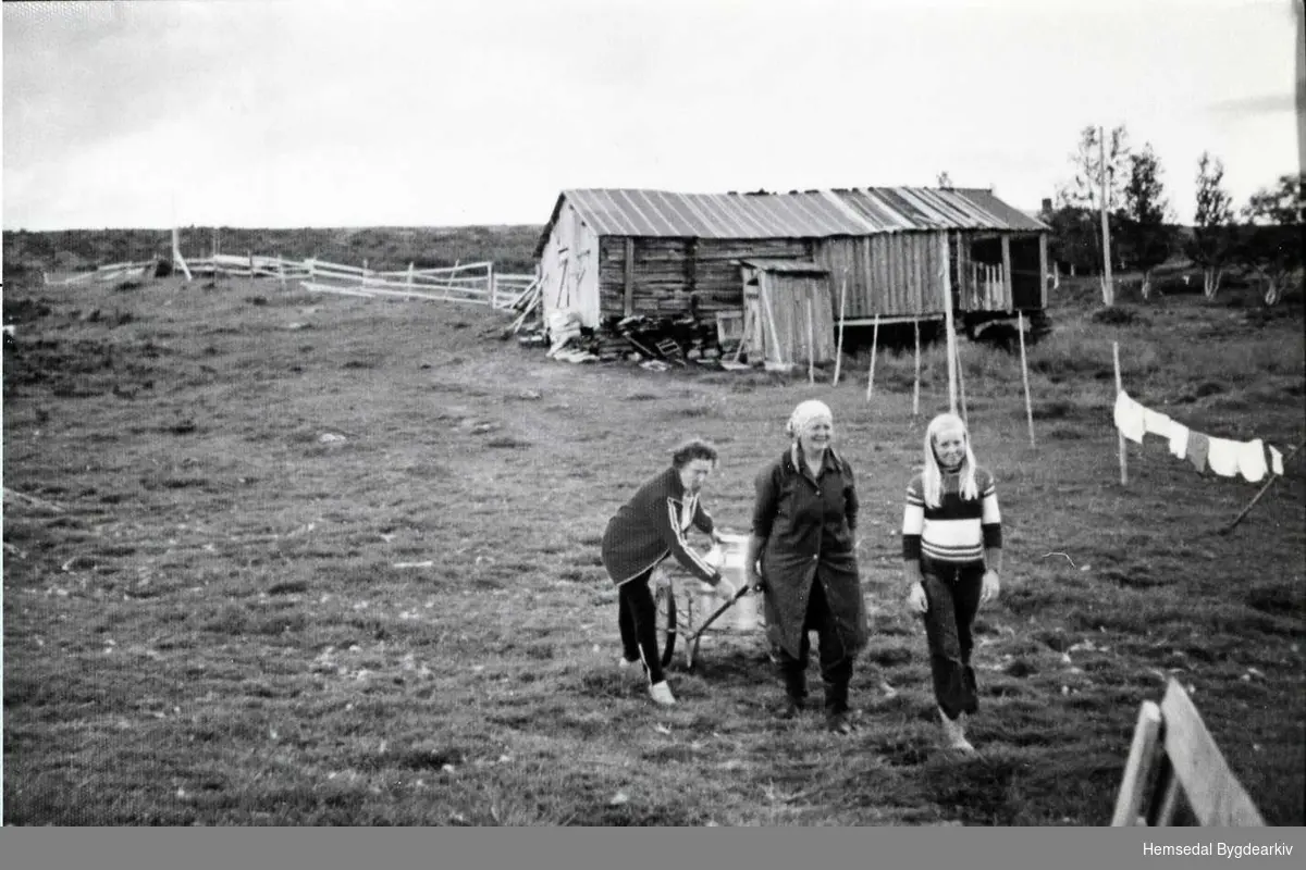 Anne Langehaug og byfolk på Langehaugstølen ein gong på 1970-talet.