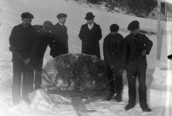 Veiarbeidere med spett står rundt en stor stein oppå "Saxega