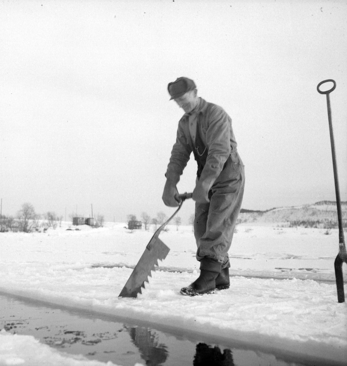 Isskjæring på Møkkelandsvannet, 1954. Mann arbeider med issag.