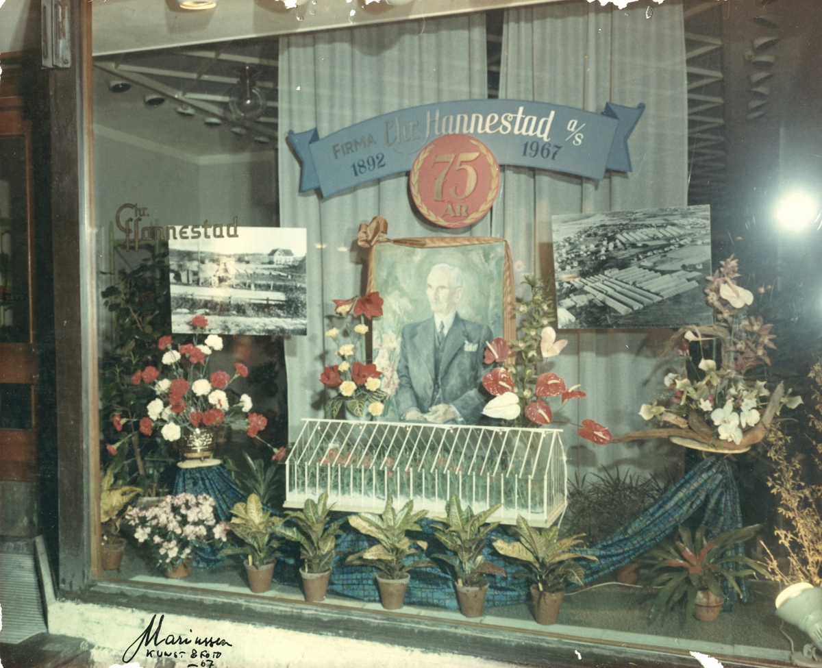 Vindusutstilling i Chr. Hannestad sin blomsterforretning i Nygårdsgaten, 75-års jubileet i 1967.