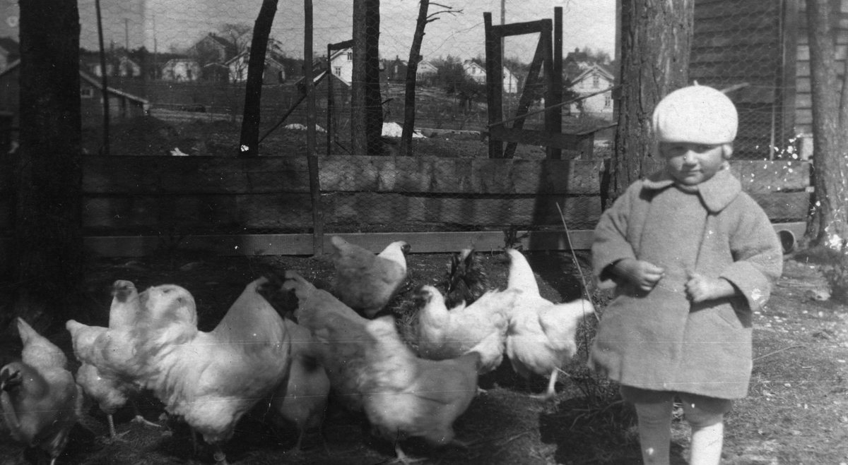 Lita jente med hønseflokk, Rosenlund, 1925