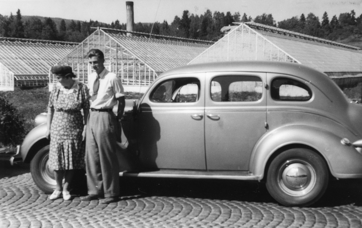 Kvinne og mann stående foran bilen. Drivhusene på Rosenlund i bakgrunnen.