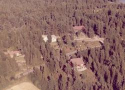 våningshus, trær, haver, vei, uthus,