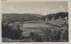 stadion, bolighus, trær,