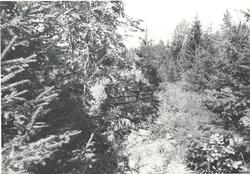 Husmannsplass, ruin, grunnmur, Funken,