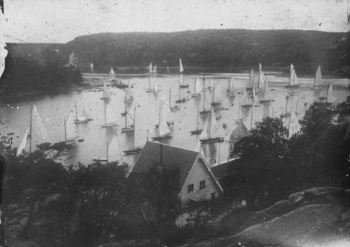 Landsregatta 1916, Kragerø skjærgård, hus i forgrunn.