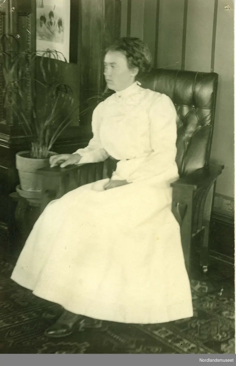 Fotografi av en kvinne som sitter i en skinnpolstret stol med trelener, inne i en stue. Hun har hvit, lang kjole med tett krage i halsen og sorte sko. I bakgrunnen ser vi en stor potteplante og et bilde på veggen.


Bakside: "Post card", rødt frimerke med påskriften U.S Postage, two cents. Portrett av en mann i profil på frimerket. Poststemplet Mc Cammon, 18.05.1910.215