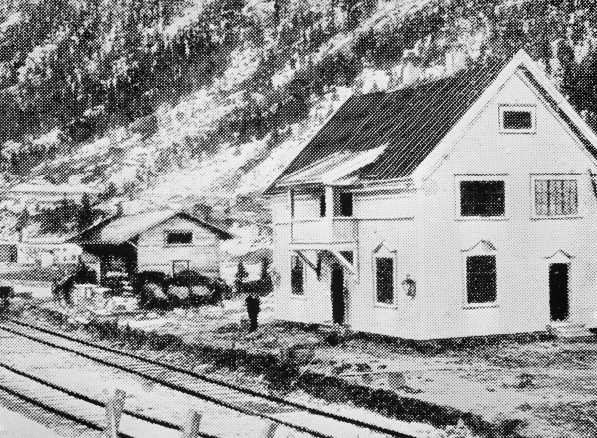 transport, tog, eksteriør, Rjukan, jernbanestasjon
