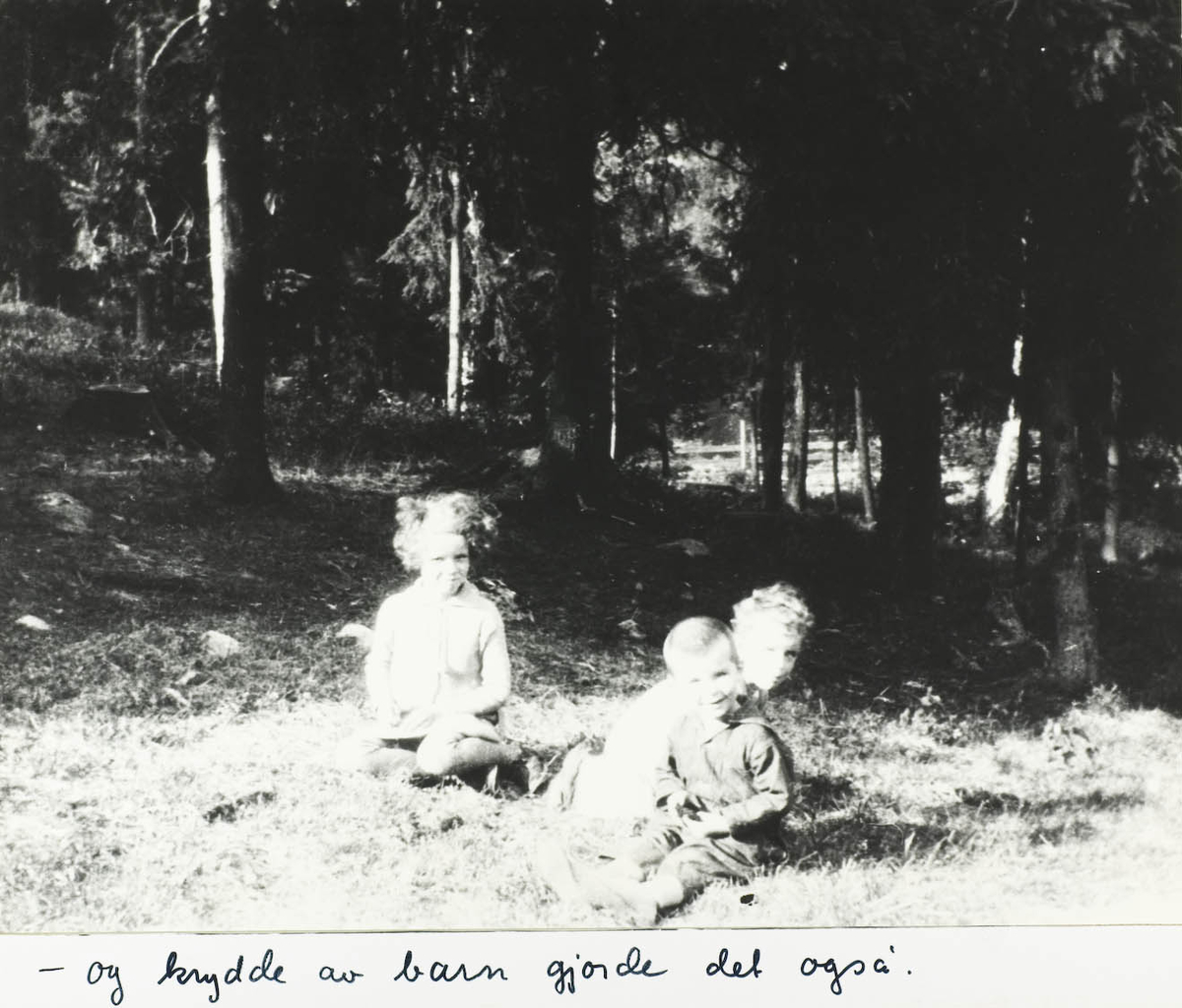 Tre små barn sittende i skogen.