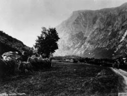 Seter sett frå sør. Det gamle tunet midt på bildet er bnr.3,