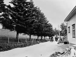 Parti frå Eidsvåg: Vi ser frå Fjordgløtt og østover (innover