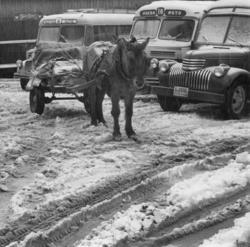 Busser fra bla Aukra og Hustad Auto. F.v. Ukjent.. .T-8709 -