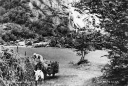 "Norge, Brudesløret, Eikesdal"