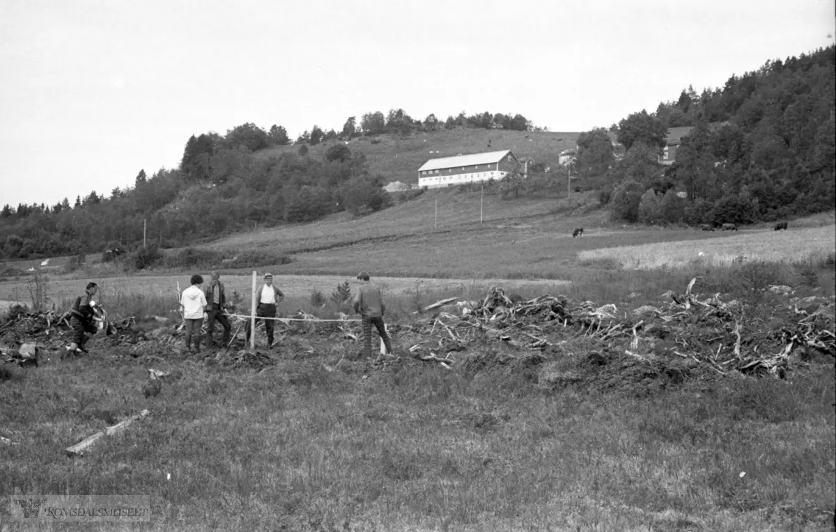 Kavelveien på Tiltereide, Eidsvåg. .Siste rester av Kavleveien over Tiltereidet tas opp.