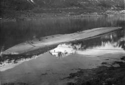 Torpedobåten Trygg kantret i Isfjorden ved Åndalsnes 26. apr