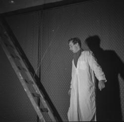 .Parodi på "Roseordenen" i Revehallen.