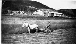 Portertt,slåmaskin,hest,hallingstugu,stabbur og låve.