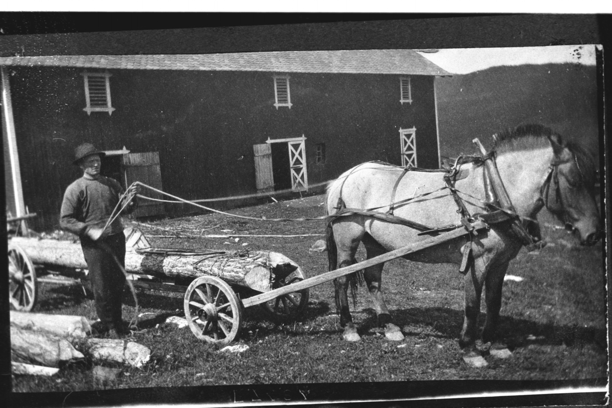 Hest,vogn.
Ola Slåttestølen køyrer tømmer med vogn.