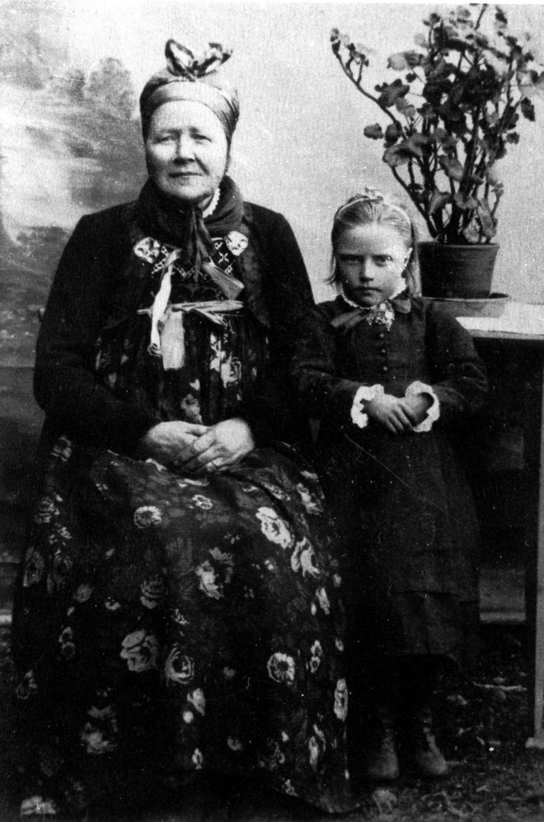 Portrett,hallingbunad,sølje og kjole.
Frå v.Anne Arnesdtr.Eikle f.1926 og Anne Persdtr.Hoftun gm.Lars Roe.