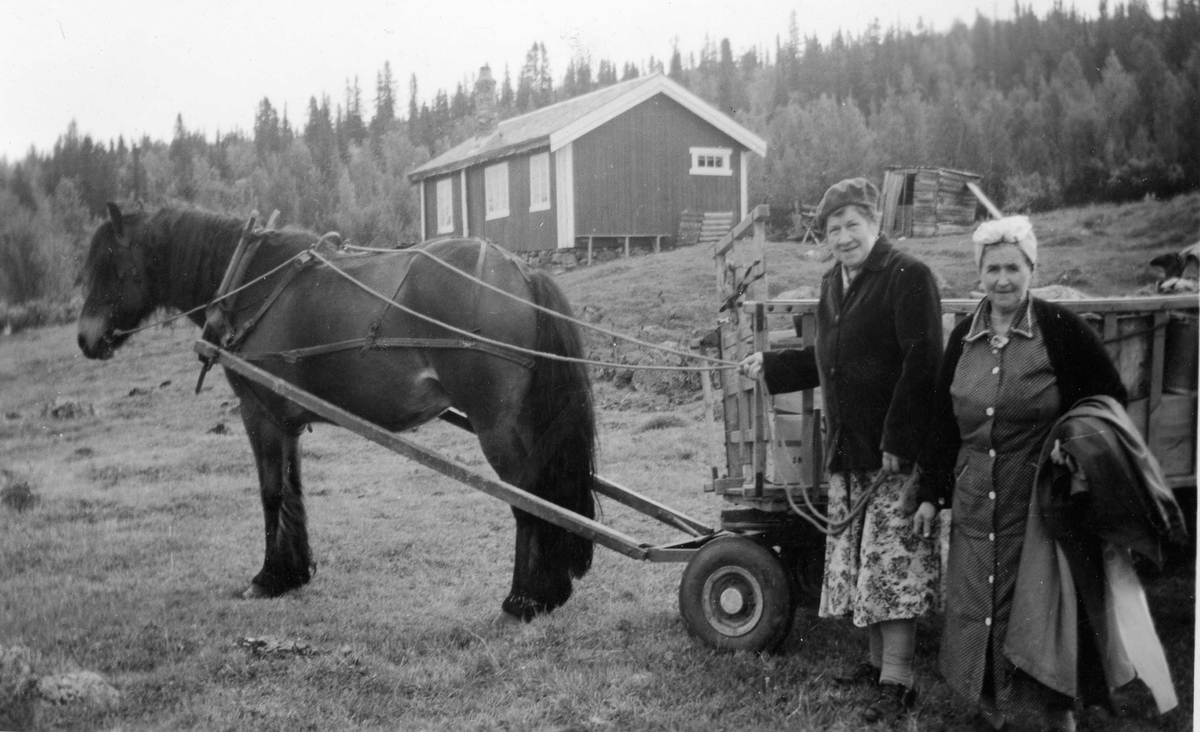 Gruppebilde,kjole,strikkajakke,hest,høyvogn
på heimstølen Vesterlid
Frå h..Anne Marken Amundsli og Kristine Køso.
