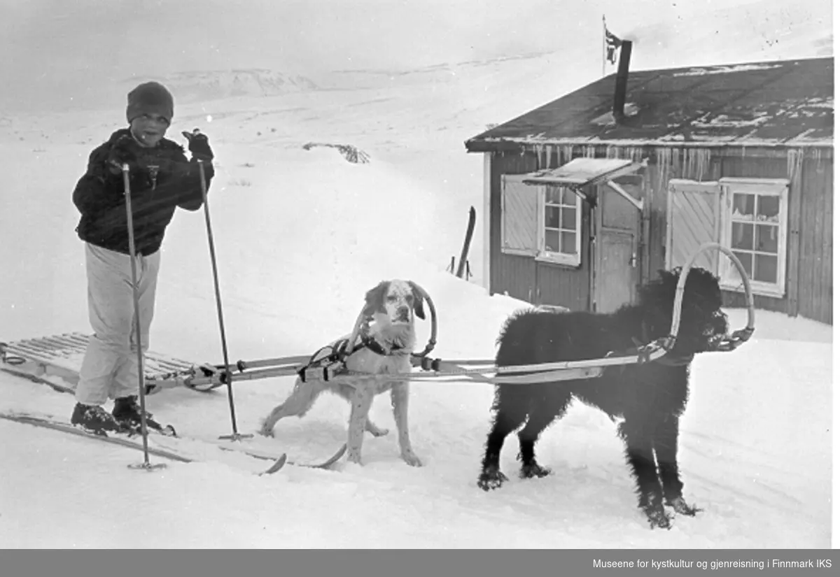 Kjell Hansen frakter proviant med hunder og slede til skihytta, 1963