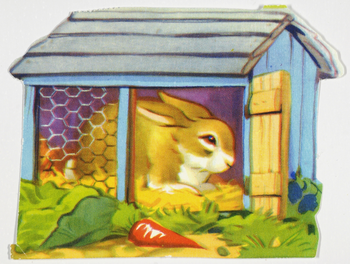 En kanin sitter inne i et kaninbur. Gulrot ligger på utsiden av buret.