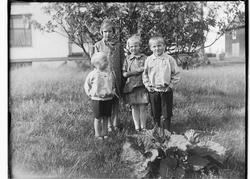 Fire ukjente barn, i hagen ved rabarbara. Bygninger i bakgru