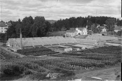 HUGO HOFFSTENS GARTNERI, HAKABEKKVEGEN i Hamar, SLIK DET STO