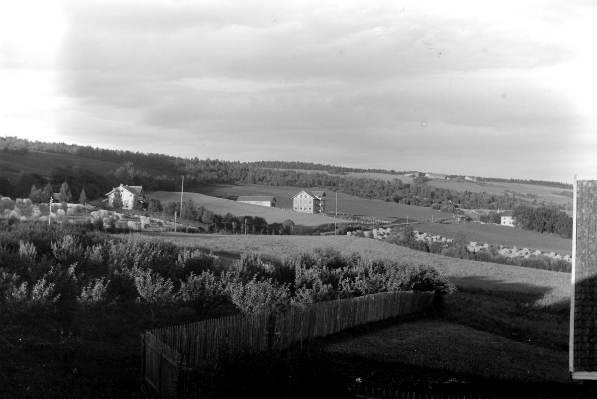 Ringsaker, Veldre, Løken østre, hagebruk, hus fra venstre: Haugen, Furu skole, Tokstad gård,