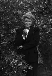 Aslaug Jevanord, 
(Norsk biografisk leksikon) 
Store norsk