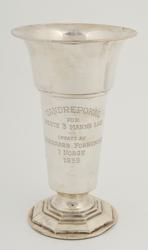 Premie, idrettsmerke