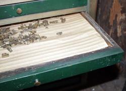 Skuff med typer, 976 stk