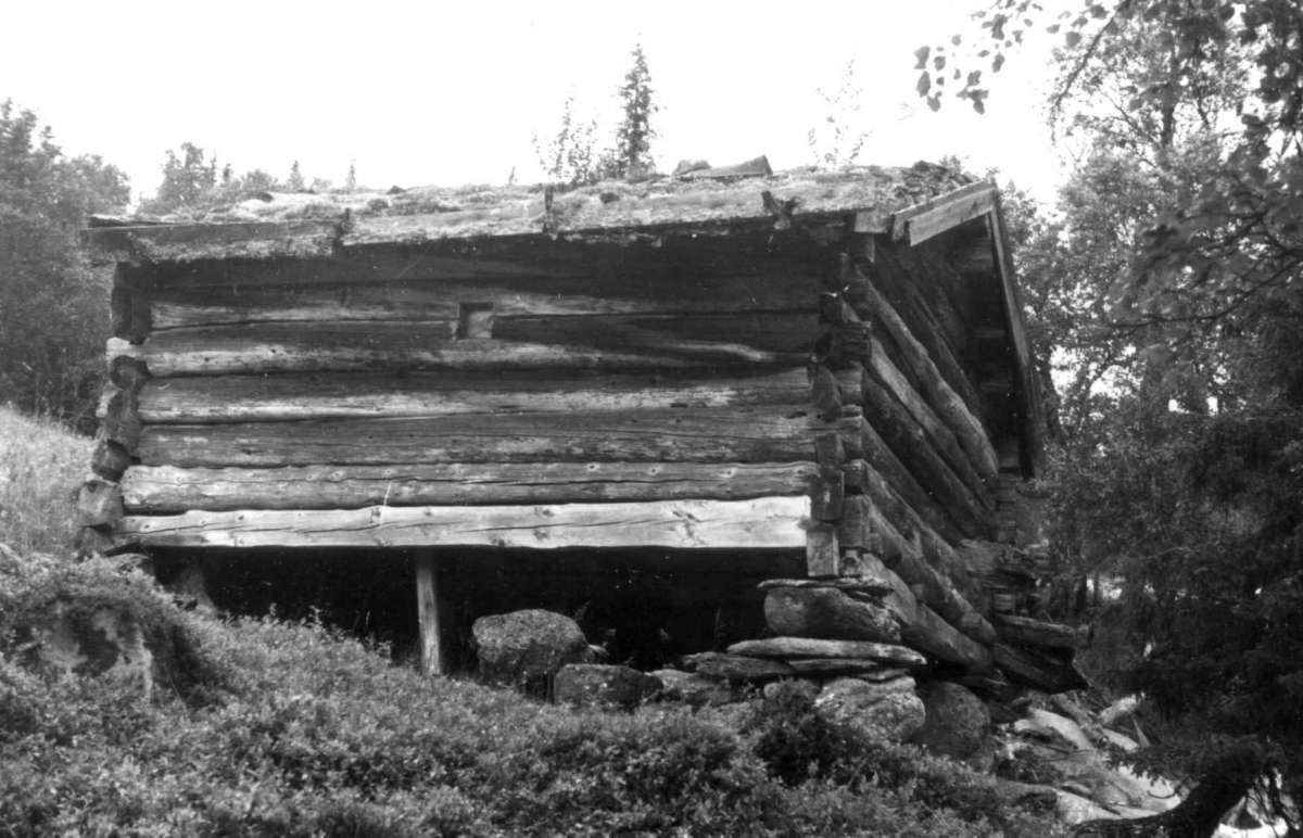 Bebyggelse på Devik i Røyrvik.