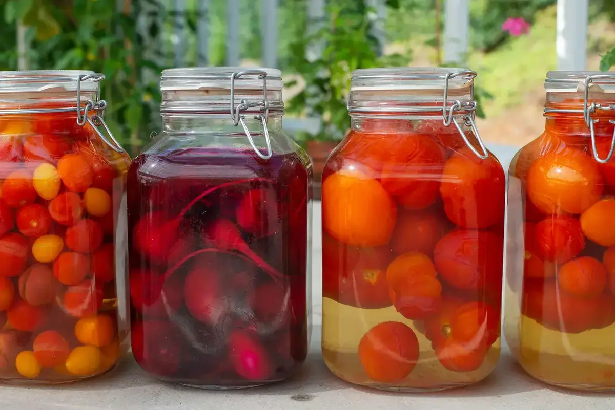 Fermenteringskurs på Gartneriet